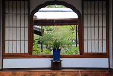 聖澤院