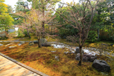 聖澤院 斑雪の方丈庭園