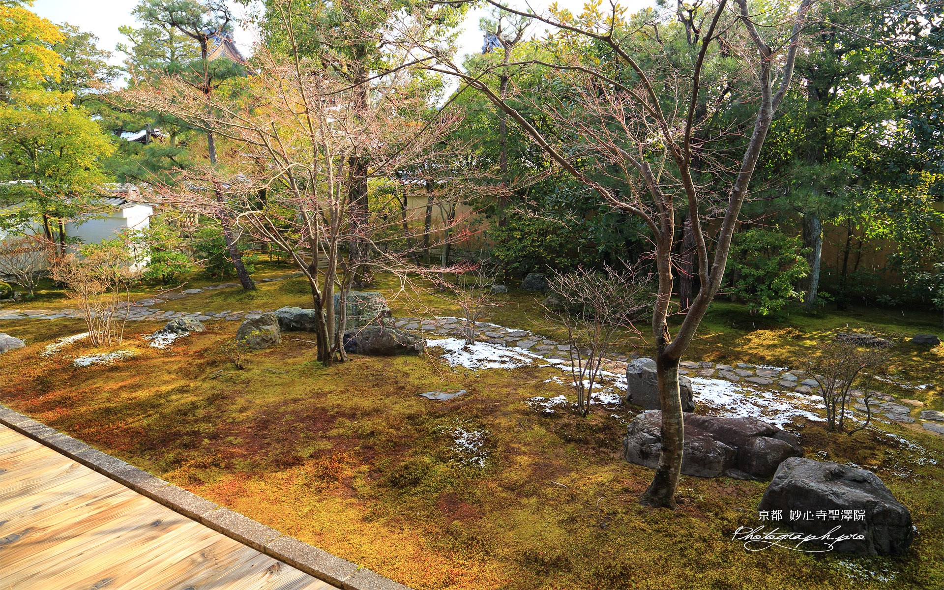 聖澤院 斑雪の方丈庭園