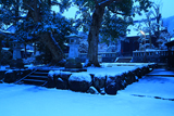 雪化粧した八坂大神