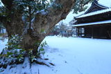 雪化粧した巽神社