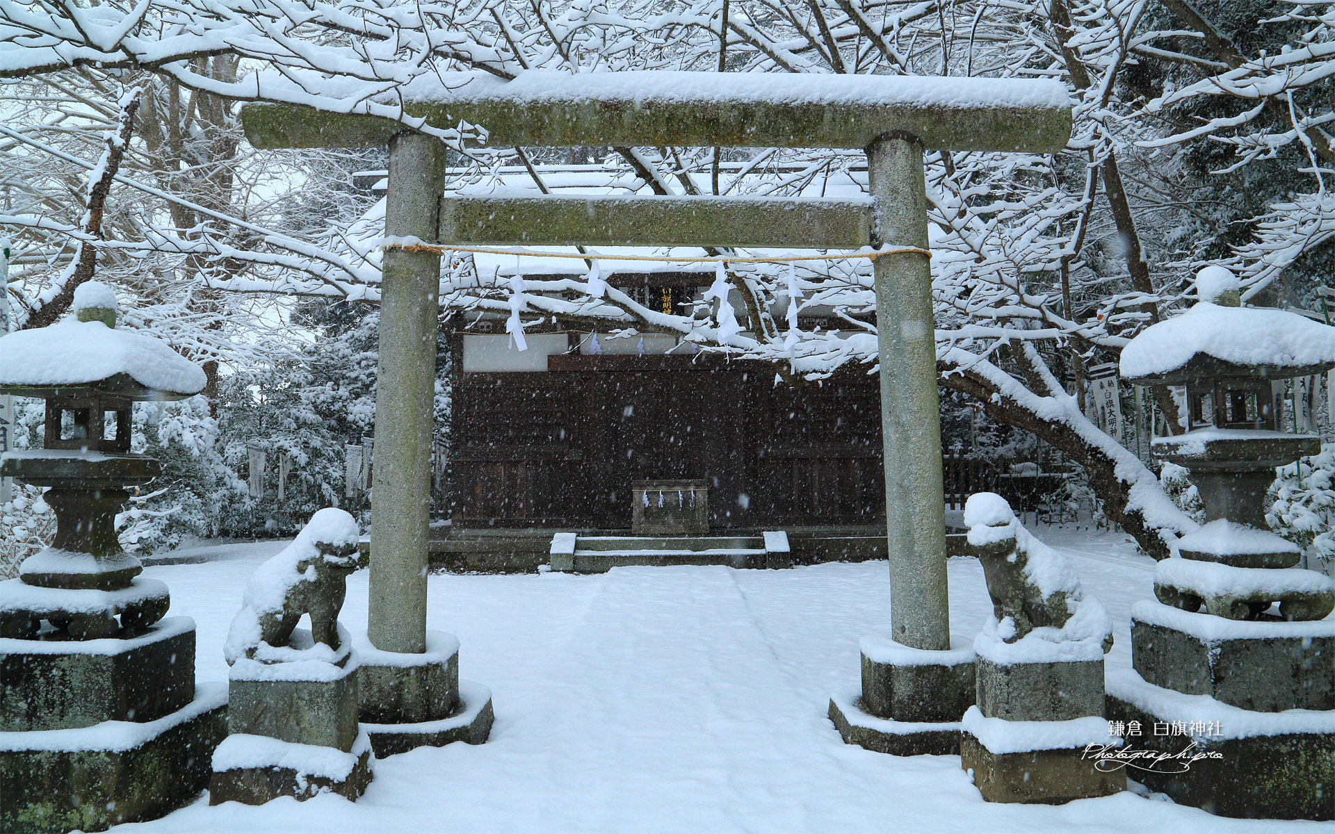 雪降る白旗神社