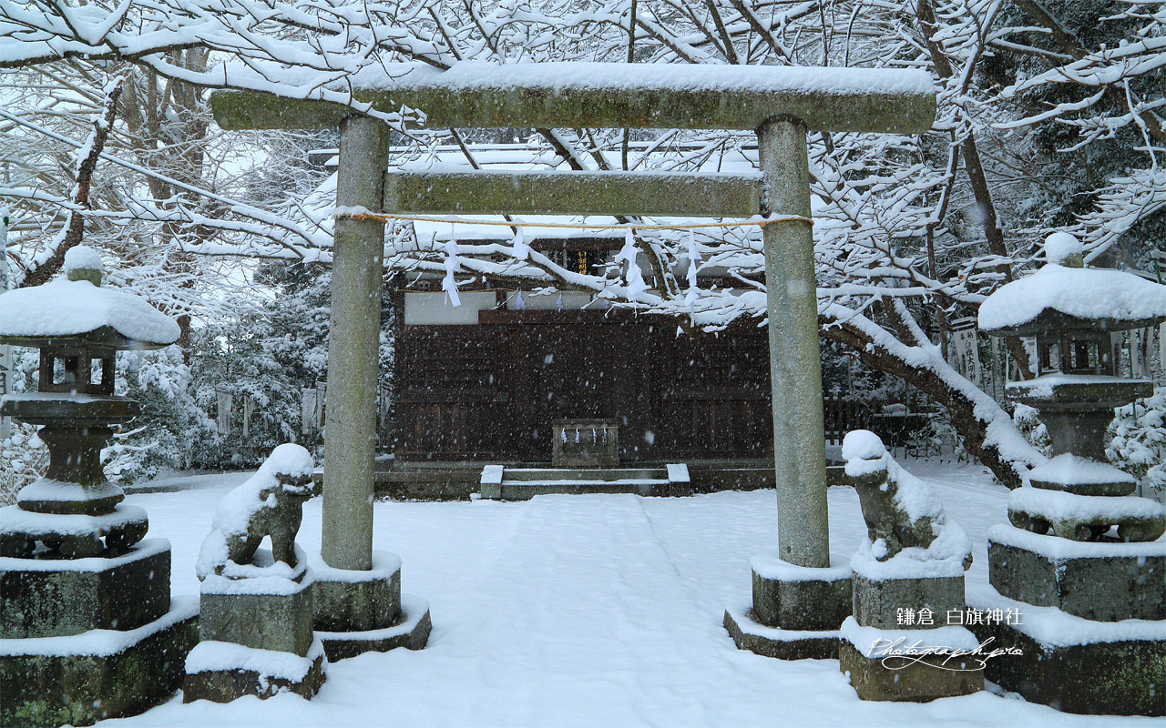 雪降る白旗神社 壁紙