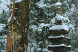 冠雪の源頼朝墓