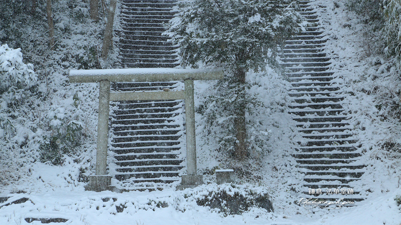 大江・毛利・島津氏墓の深雪参道 壁紙