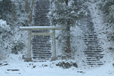 大江・毛利・島津氏墓の深雪参道