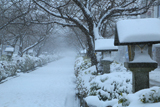 吹雪の段葛