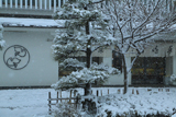 鎌倉 雪降る豊島屋