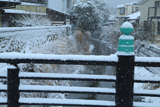 鎌倉 雪降る夷堂橋