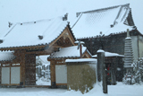 鎌倉上行寺の雪景色