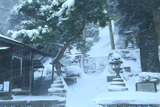 暴風雪の鎌倉第六天社