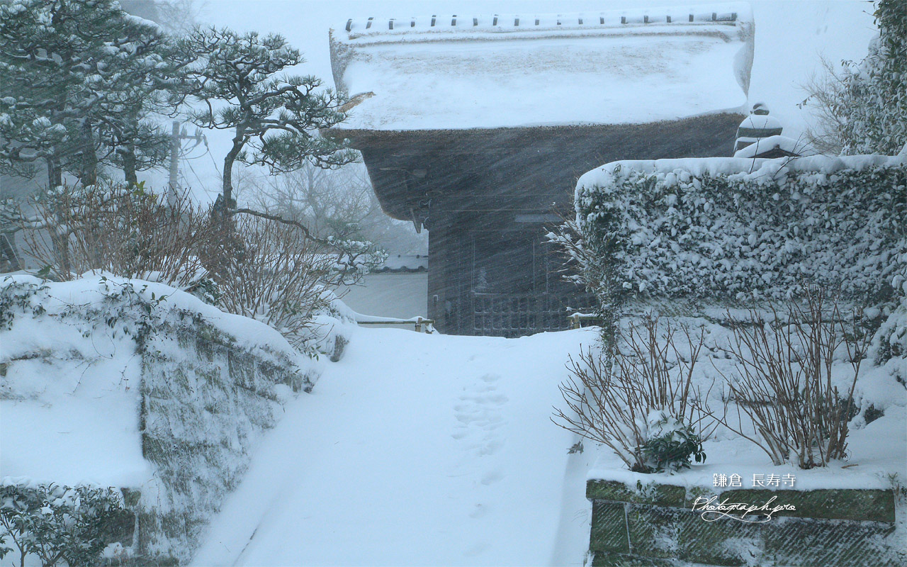 暴風雪の長寿寺 壁紙