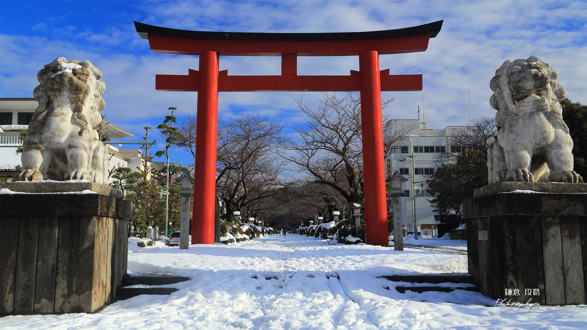 残雪の段葛入口