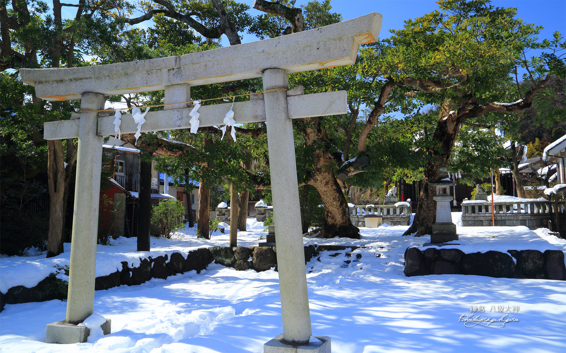 八坂大神の雪景色