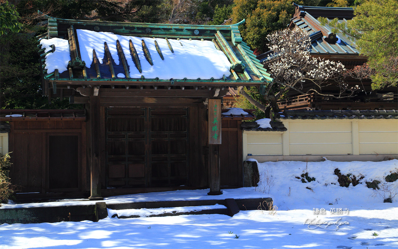 英勝寺 雪景色 壁紙