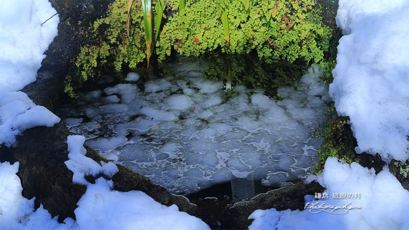 鎌倉 雪氷の底脱ノ井 壁紙