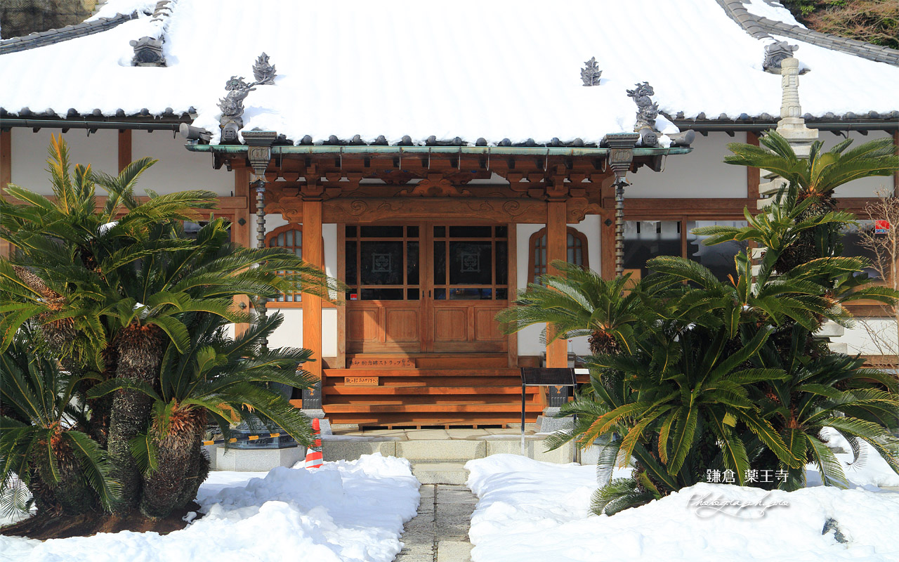 雪景色の本堂 壁紙