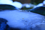 光照寺 天水鉢の氷雪