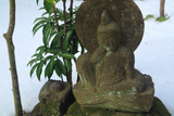 教恩寺 石仏と残雪