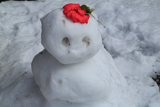 妙隆寺の雪達磨
