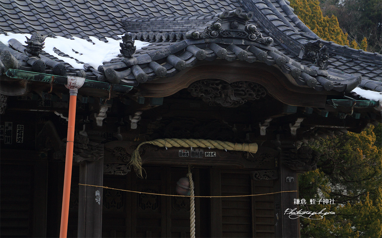残雪の蛭子神社 壁紙