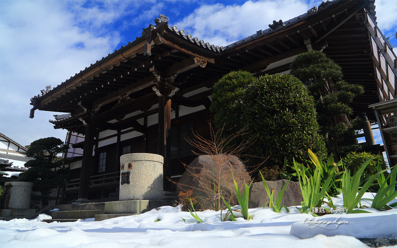 本興寺 残雪と本堂 壁紙
