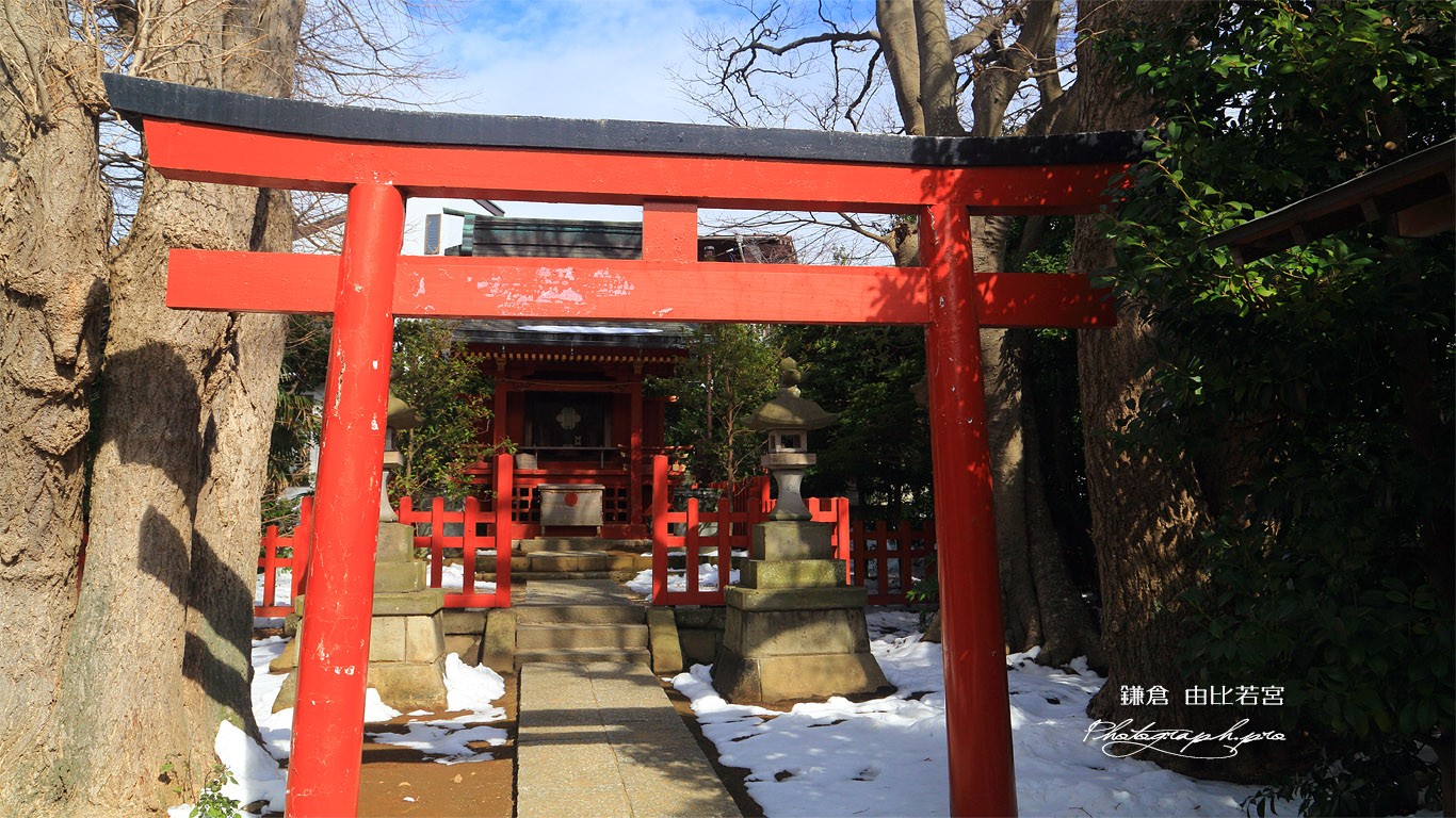 残雪の由比若宮 壁紙