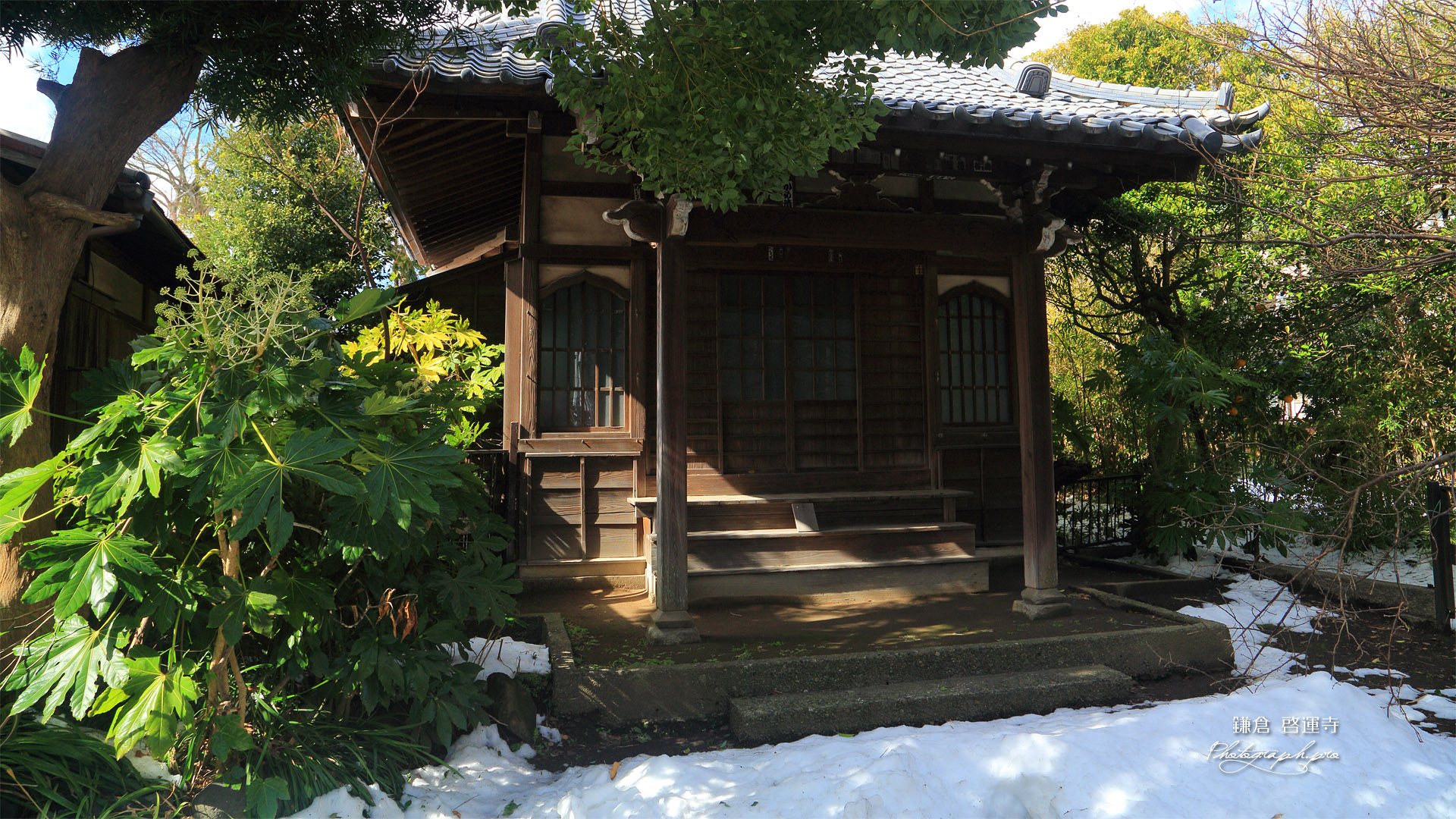 残雪の啓運寺
