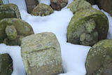鎌倉九品寺 雪埋の石仏