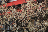 向福寺