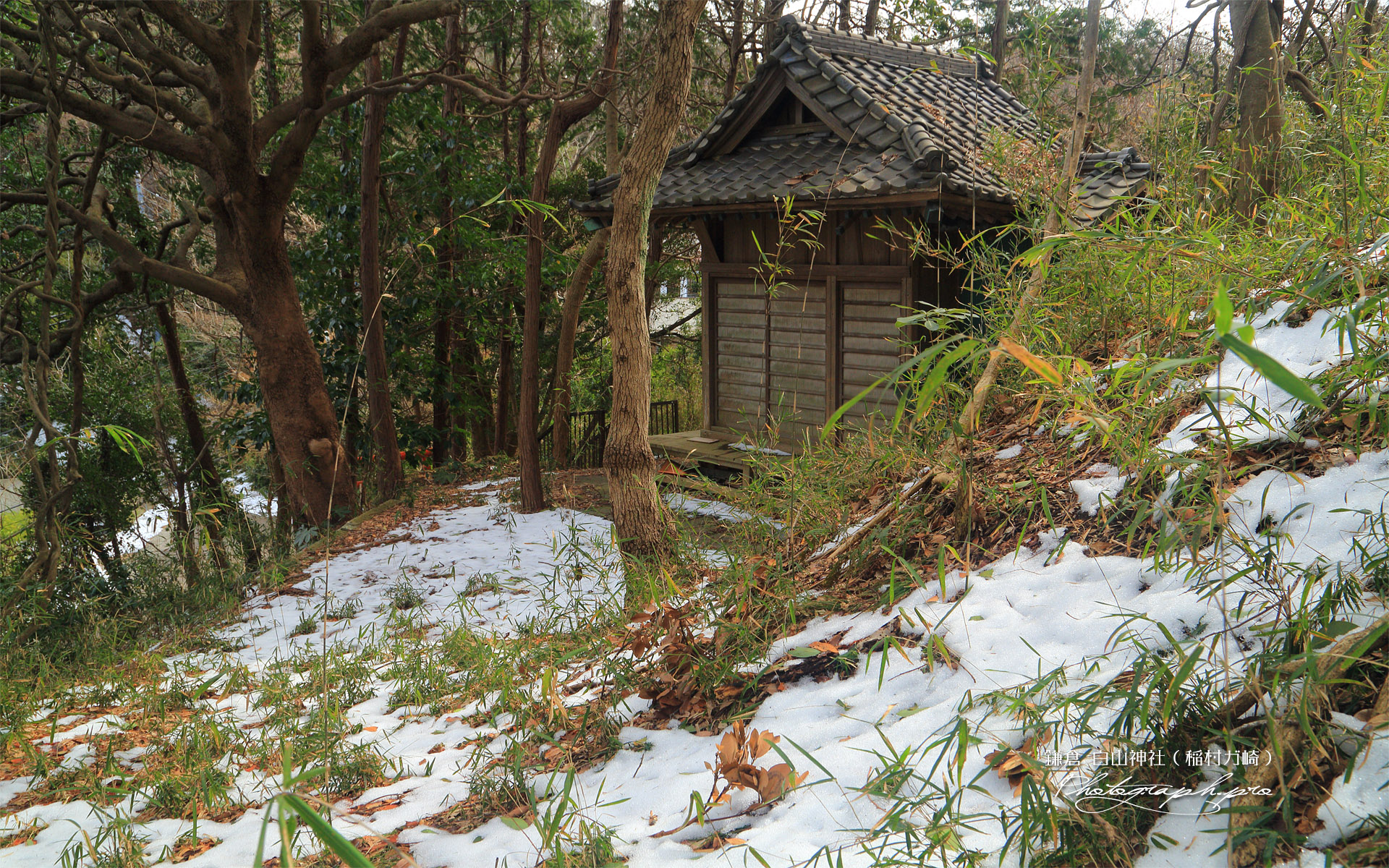 稲村ガ崎 斑雪の白山神社