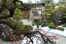 東漸寺