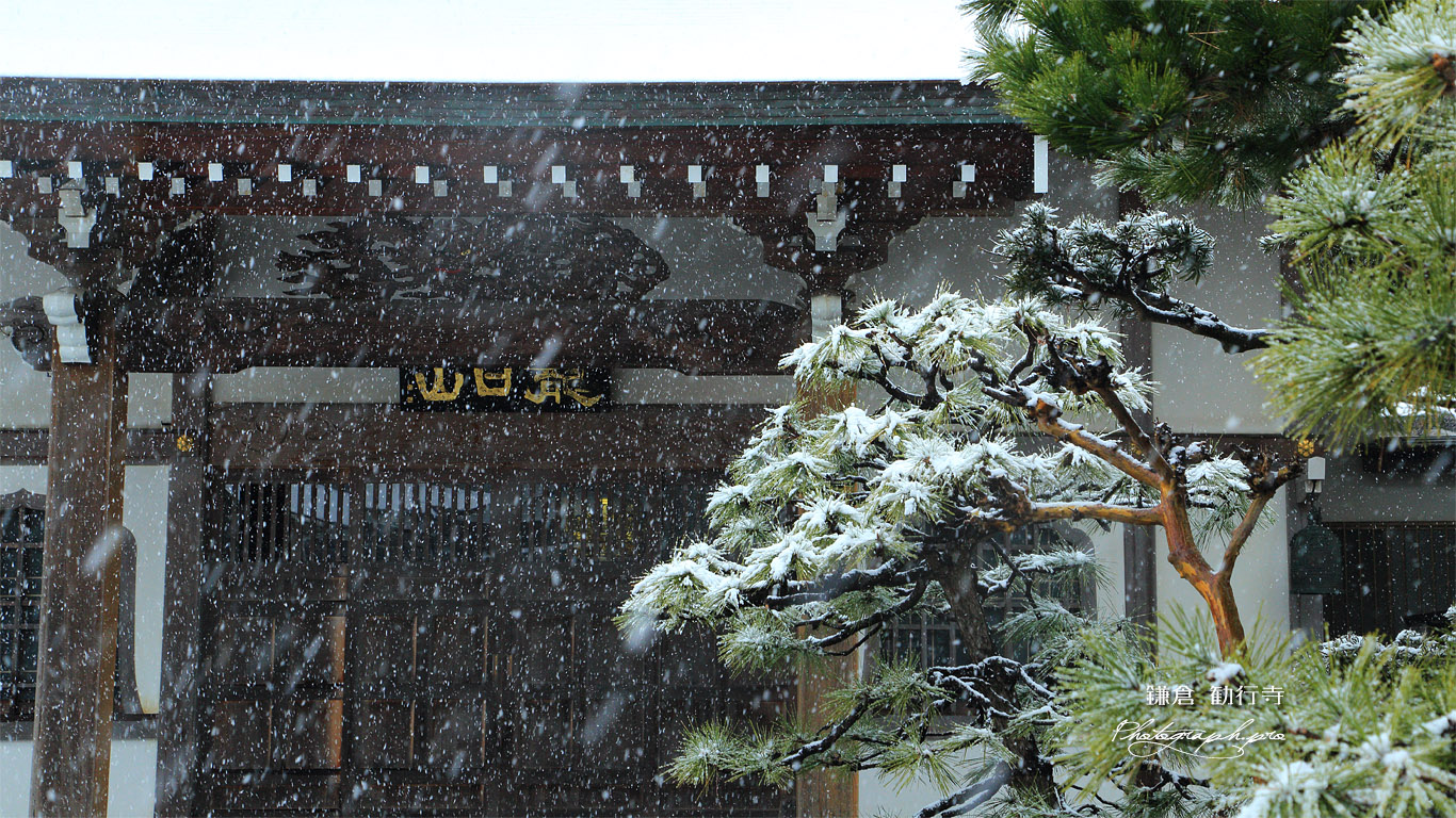 雪の勧行寺 壁紙