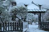 収玄寺雪景色