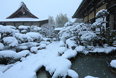 法源寺