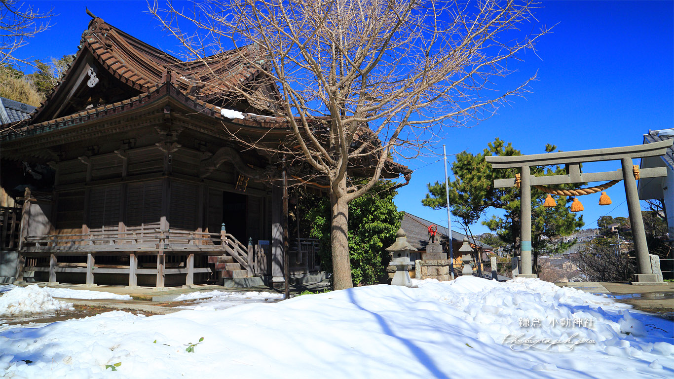 小動神社 再びのドカ雪 壁紙
