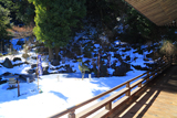 青蓮寺 雪見庭園のトピアリー