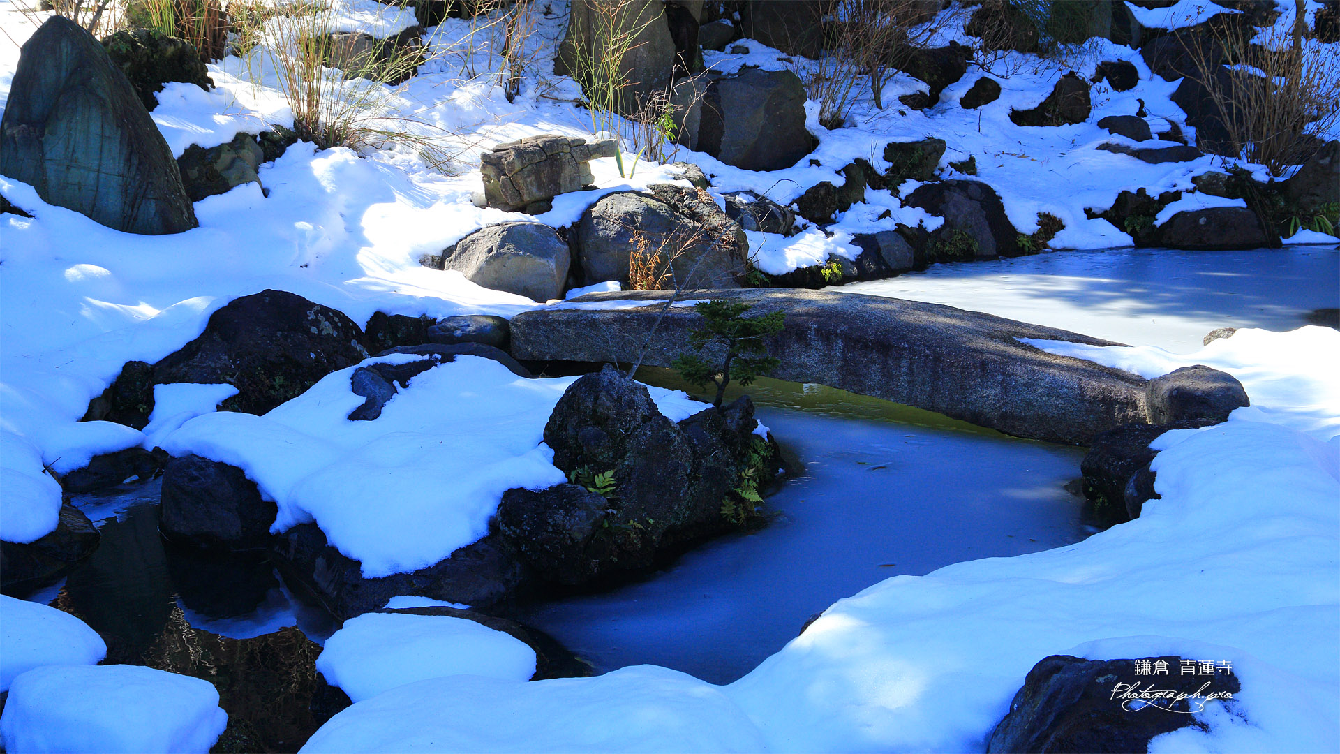青蓮寺 池泉庭園の氷雪
