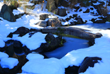 青蓮寺 池泉庭園の氷雪