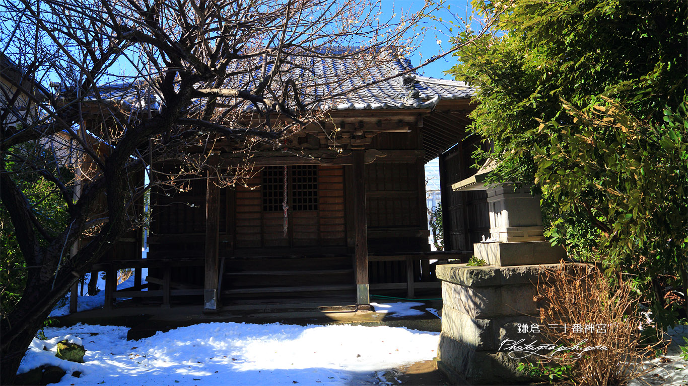 鎌倉手広 白梅と残雪の三十番神宮 壁紙