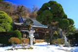 等覚寺 残雪とビャクシン