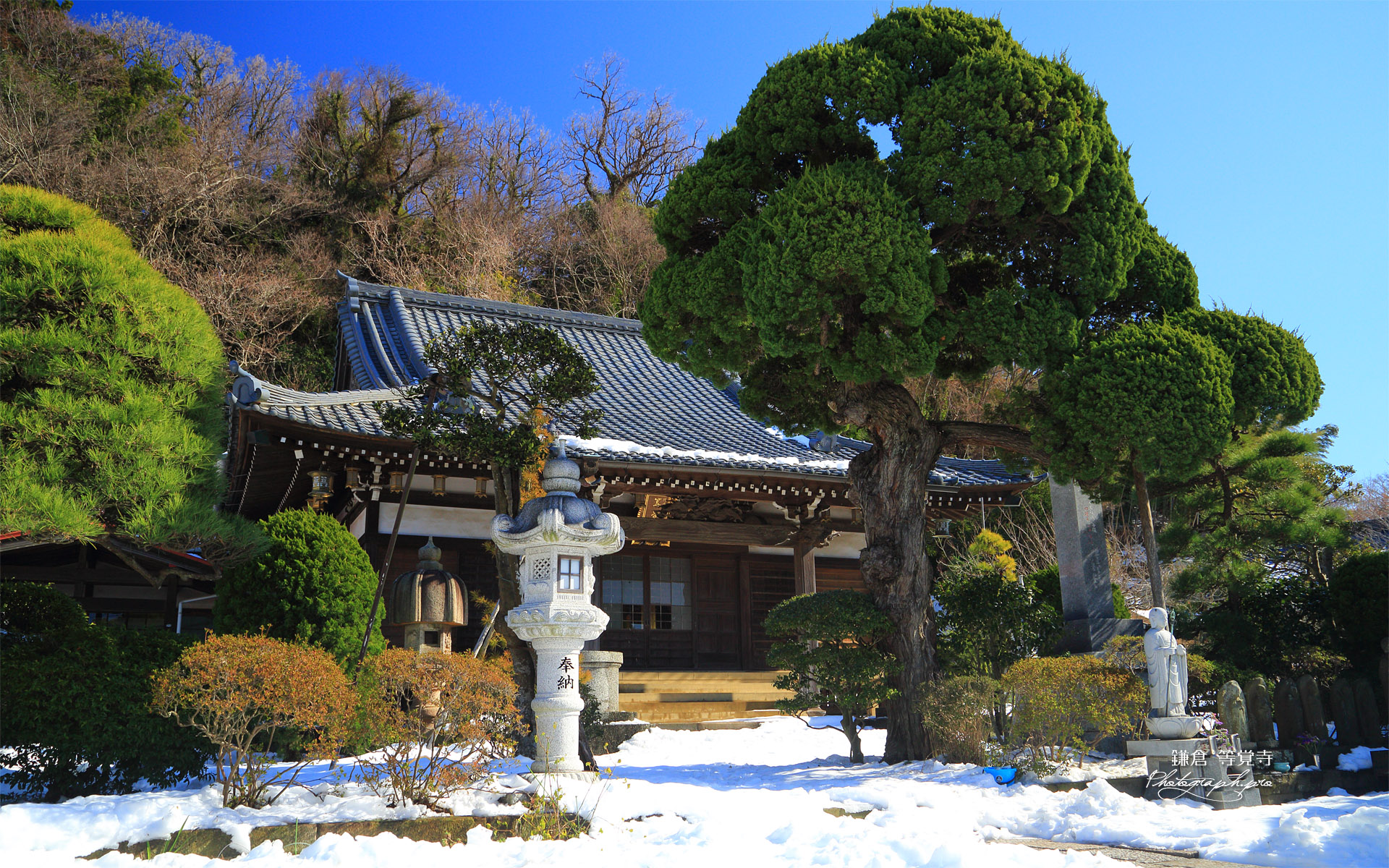 等覚寺 残雪とビャクシン