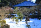 昌清院 雪見庭園の梅