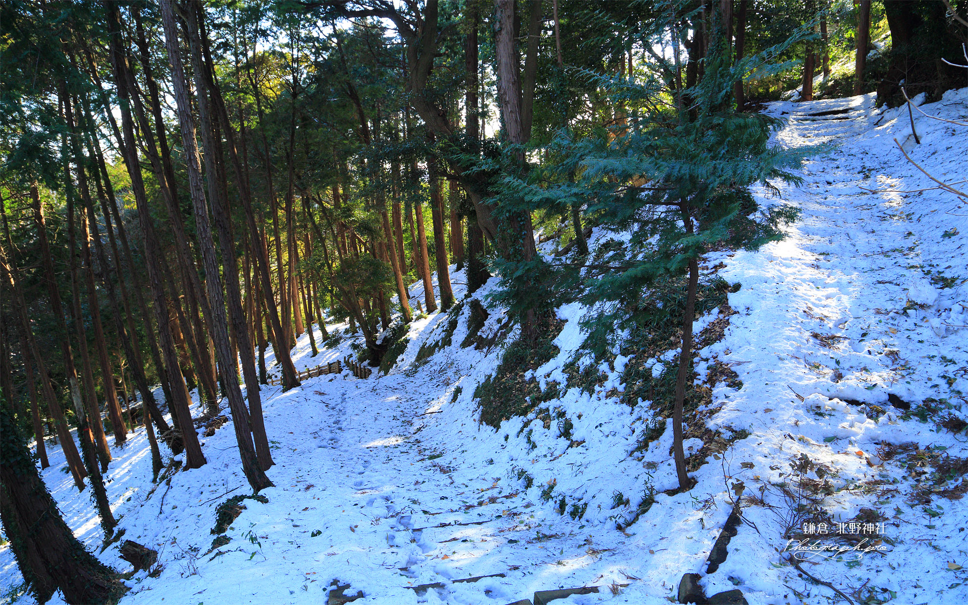 鎌倉 北野神社参道の雪景色