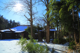 妙法寺（山崎） 雪折れ竹