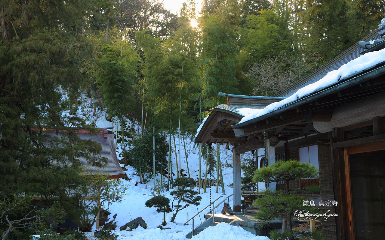 貞宗寺 雪景色 壁紙