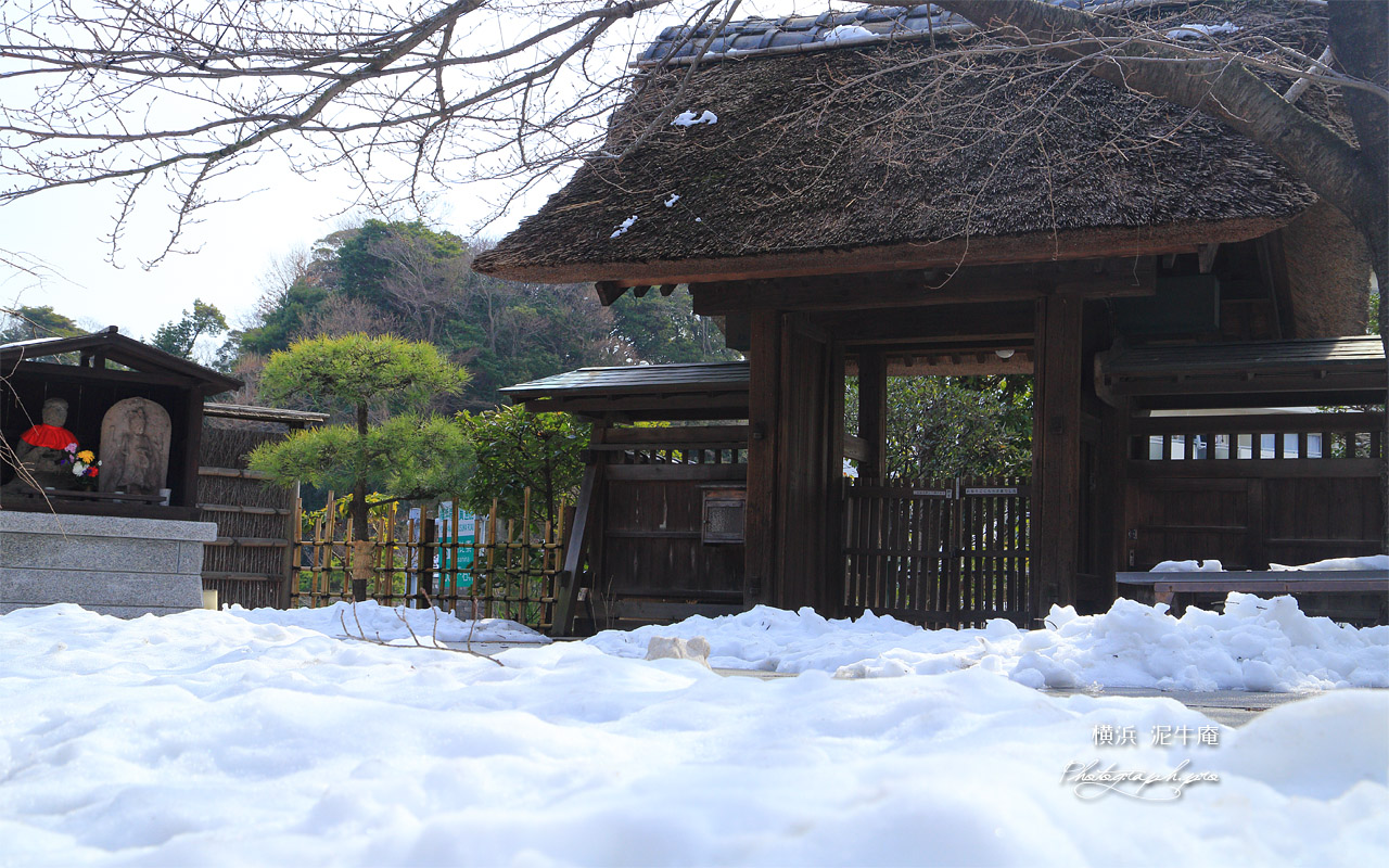 泥牛庵 残雪と山門 壁紙