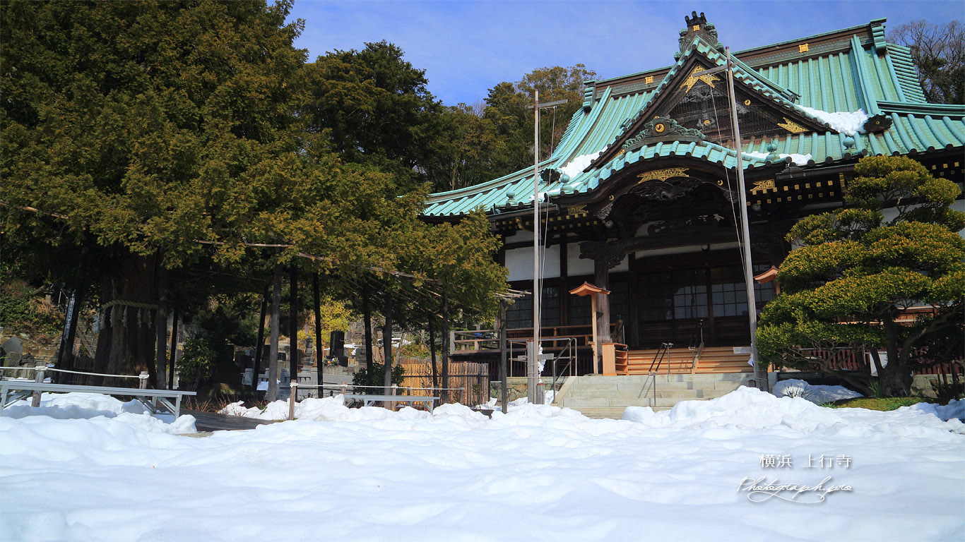 横浜 上行寺の雪景色 壁紙