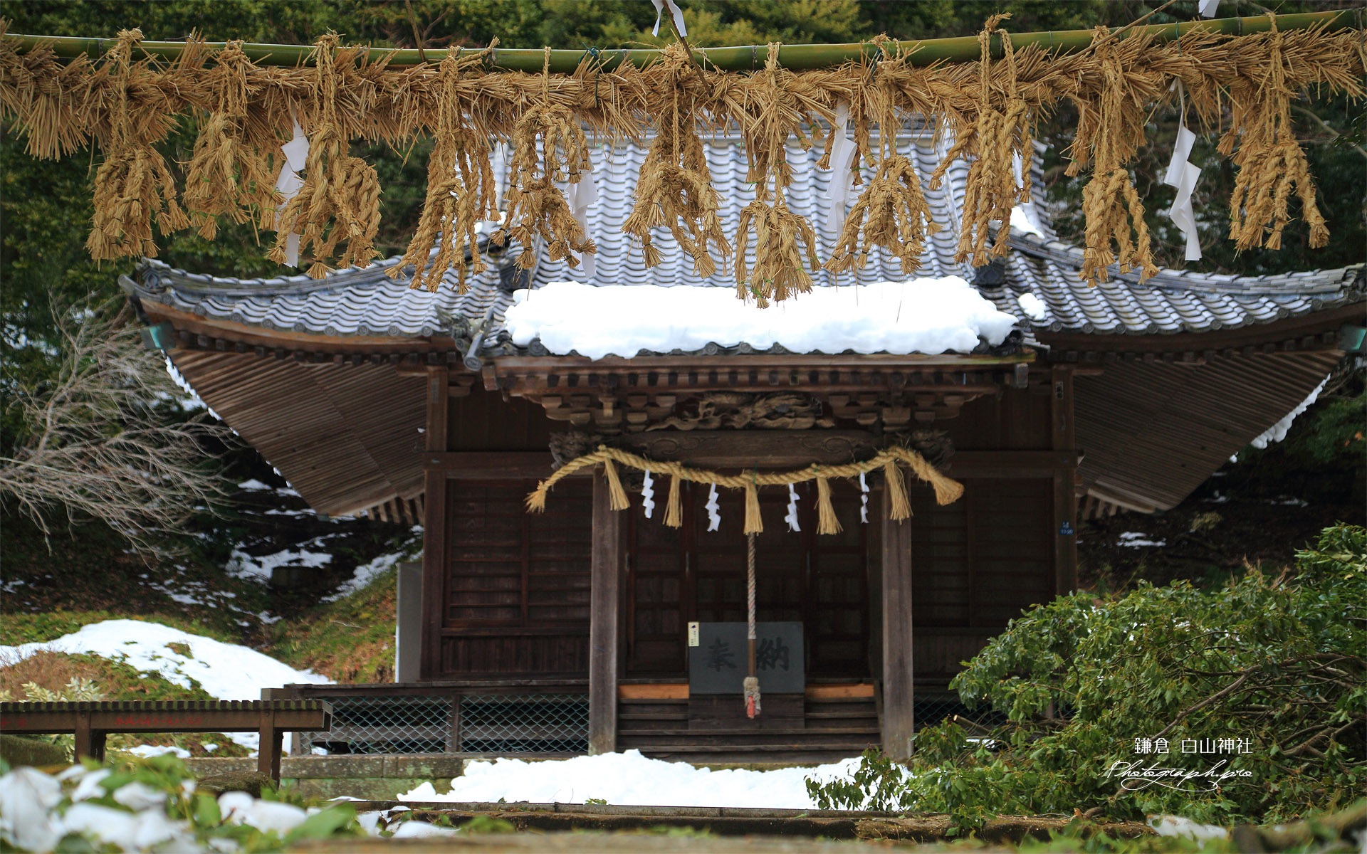 鎌倉 白山神社の百足注連縄
