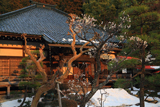大長寺 白梅と残雪